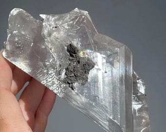 Naica Selenite Statement Crystal – Clear Lustrous Specimen from Naica Mine, Chihuahua, Mexico (Collector Grade, Natural Mineral Display)