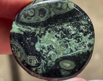 Kambaba Jasper Flat Medallion Crystal- You Pick