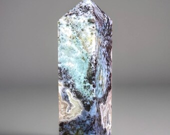 Black Moss Agate Tower • Unique Crystal Point • Moody Crystal Obelisk