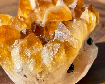 Citrine Cluster Hedgehog | Golden Yellow Citrine | Citrine cluster carving | Crystal clusters | AAA Grade Citrine specimen