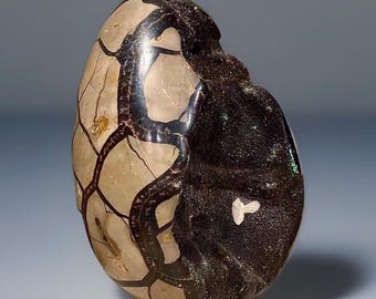 Septarian XXL Statement Egg, Argonite, Calcite, Limestone, Barite, Chalcedony, Dragon Eggs, Septarian with Calcite deposit, Huge Crystal Egg