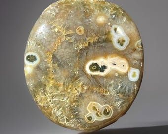 Orbicular Ocean Jasper Palmstone, Marovato Jasper Crystal, Collectors Unique Jasper with Quartz