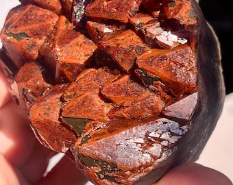 Red Cap Amethyst: Hematoid Amethyst Cluster Cut Base Specimen