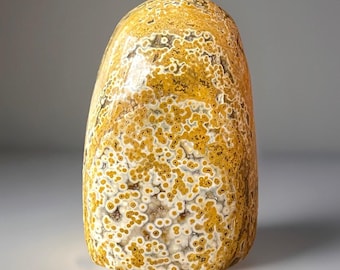 Ocean Jasper Freeform: Madagascar Orbicular Bubble Jasper Crystal  (91 MM)