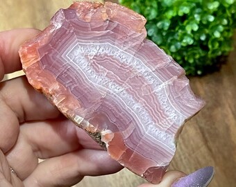 Laguna Agate Nodule Slice with Shades of Pink Color and Quartz, Collectors Edition Rare  agate slab, #31