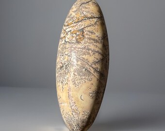 Dendritic Picture Jasper XLarge Shiva - #8 • Natural Energy Crystal Stone • Meditation & Relaxation • Unique Crystal Gift