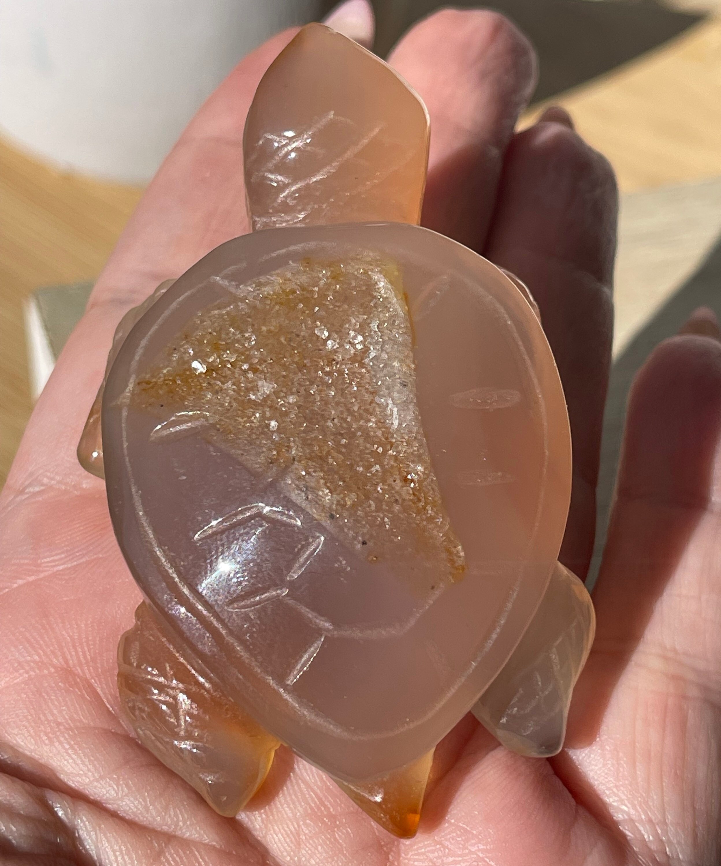 Druzy Agate Sea Turtles Druzy Agate Sea Turtles