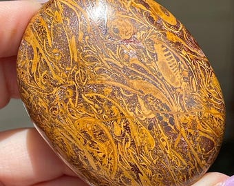 Calligraphy Stone Polished Palmstone Crystal - Unique natural stone (277)