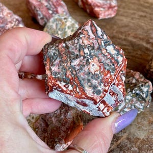 Leopard Jasper Raw Stones | Red Yellow Pink Jasper | Rough Crystal | Jasper | Home Decor & Crystal gifts | Energy Crystals