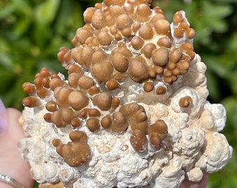 Calcite with Aragonite, Botryoidal Calcite & Aragonite Cluster, Natural Unique Mineral Formation, Earthy Brown Crystal Specimen (111)