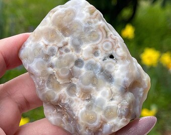 8th Vein Ocean Jasper - Rare Rough Semi Polished Stone - Natural Orbicular Patterns - Collector's Mineral Specimen