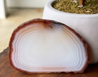 White Carnelian Agate Slice, Crystal Slab gift,  Natural Home Decor, Unique Rocks