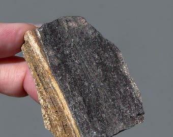 Sparkly Permineralized Fossil Druzy Wood from Zwenkau, Germany- Marcasite Fossil Wood, Sparkling Petrified Wood, Natural Marcasite Lignite