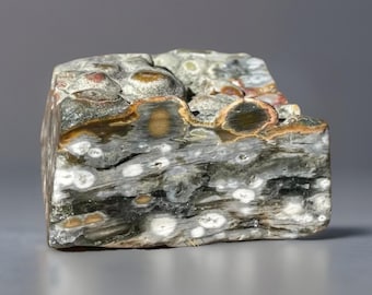 Orbicular Ocean Jasper Large Freeform with Raw Bubbles , Orbicular Jasper Old Stock Jasper, Polished & Rough Crystals