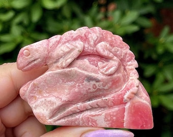 Rhodochrosite Lizard Hand carved Crystal Sculpture - No.72 • Unique Natural Pink Stone Reptile