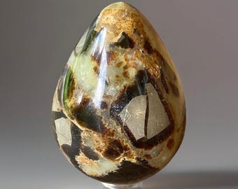Dragon Septarian Egg • Aragonite Calcite Unique Natural Crystal Dragon Home Decor • UV Reactive Crystal eggs