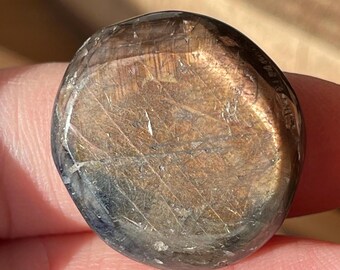 Bi-color Sapphire Mini Flat Palmstone with Flashy Golden Blue Colors, Untreated Natural Sapphire round (87)