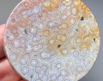 Ocean Jasper Yellow Blue & Pink Round Crystal Disk • Madagascar Ocean Jasper • Orbicular Jasper Slice • Bubble Jasper Flat • Rock Lover Gift