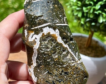 Orbicular Ocean Jasper Flame AAA Grade , Veinless Orb Ocean Jasper , Green  Yellow Orbicular Ocean Jasper