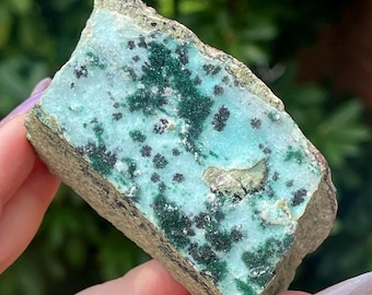 Druzy Chrysocolla with Malachite Mineral Specimen