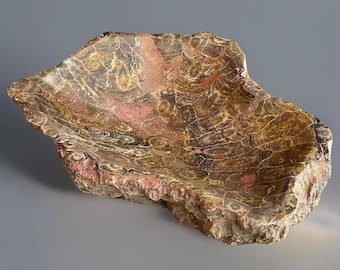 Fossilized Coral Bowl from Indonesia, Large Trinket plate, Crystal Dish for Jewelry, Natural Fossil for the Home Decor 1lb 11Oz