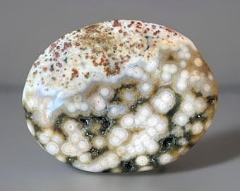 Orbicular Ocean Jasper Palmstone: Madagascar Crystal Pocket Rock (276)
