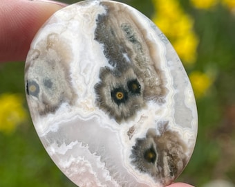 1st Vein Ocean Jasper Flat Palm Stone, Madagascar Ocean Jasper Orbicular Old Stock pocket rock - #83