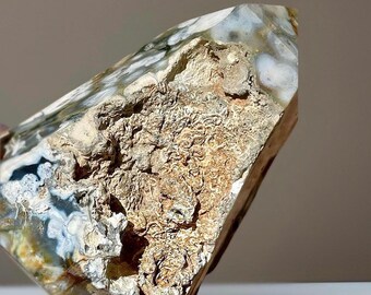 8th Vein Ocean Jasper with Natural Fossil Pocket - Rare Crystal with Fossilized Spirals & Tubes • Collector's Display Specimen