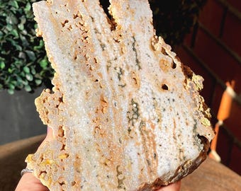 Ocean Jasper XL Slab, Natural Bubble Jasper Specimen, Polished & Rough Orbicular Jasper, Madagascar Orb Jasper Crystal