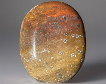 Sea Jasper Crystal Palmstone (86)
