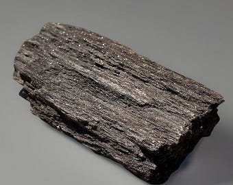 Sparkly Permineralized Fossil Druzy Wood from Zwenkau, Germany