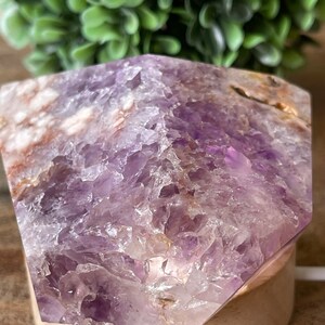 May include: A faceted amethyst crystal on a wooden base. The crystal displays shades of purple, white, and brown. The base is a light-colored wood. The background features a blurred green plant.
