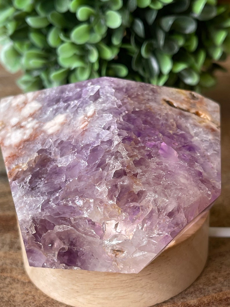 May include: A faceted amethyst crystal on a wooden base. The crystal displays shades of purple, white, and brown. The base is a light-colored wood. The background features a blurred green plant.