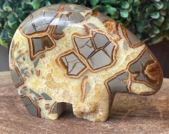Septarian Zuni Bear: (Polished Brown Yellow Crystal Carving, UV Stone, Root Chakra) Spirit Animal Figurine XXL