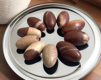 Narmada River Shiva Lingam, Small Narmadeshwar Shiva From India, Narmada Shiva Lingam River Polished - You Pick