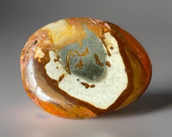 Polychrome Jasper Palmstone (228)
