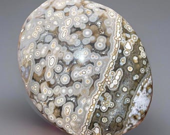 Orbicular Ocean Jasper Palmstone: Madagascar Crystal Pocket Rock (239)