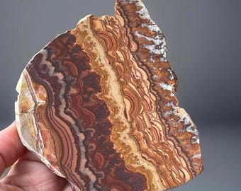 Wave Dolomite Slab from Mexico - Front Polished Scenic Display Stone Mexico
