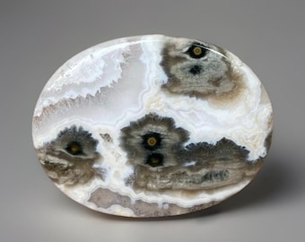 1st Vein Ocean Jasper Flat Palm Stone, Madagascar Ocean Jasper Orbicular Old Stock pocket rock - #83