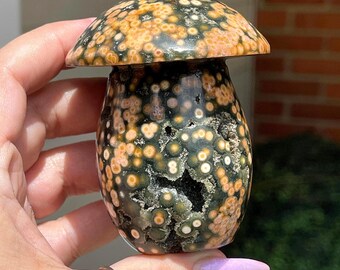 Veinless Ocean Jasper XL Mushroom, Green Quartz Druzy Orange Orbs Ocean Jasper, Orbicular Jasper Fairy Zen Garden Decor - #94