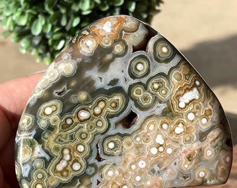 8th Vein Ocean Jasper Large Freeform • Natural Orbicular Jasper Flame • Unique Madagascar Jelly Jasper
