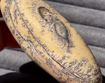 Dendritic Picture Jasper XLarge Shiva - #6