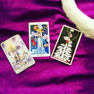 Haustier Tarot Karte Legung / psychische Botschaften Vorleben verbinden Tier Anschluss Katze Hund Begleiter verstorben Orakel ausführliche Frage schnelles Geschenk