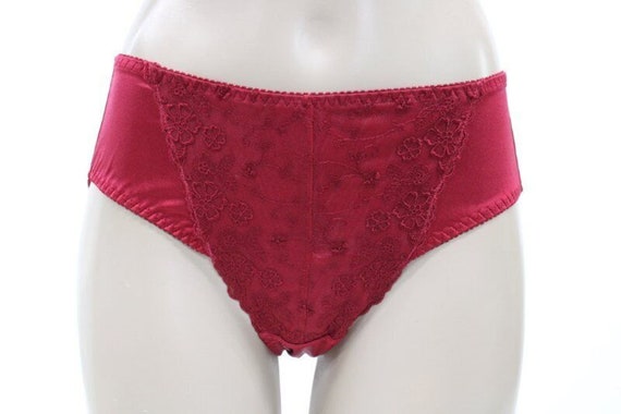 Vintage Shiny Stretch Satin Pantie Briefs Medium … - image 1