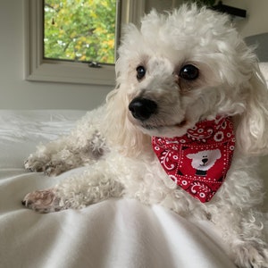 Dog Bandana (Over the Collar)