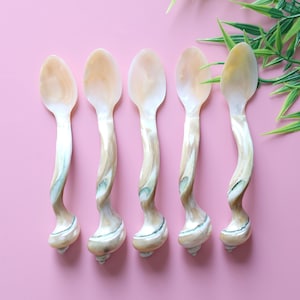 Puede incluir: Conjunto de cinco cucharas blancas iridiscentes con un diseño en espiral y retorcido. Las cucharas están hechas de nácar y tienen un aspecto natural y orgánico.
