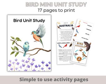 Bird Unit Study, Mini Unit study about birds, Bird study worksheets, Bird activity worksheets, Montessori Bird unit, Bird Printable