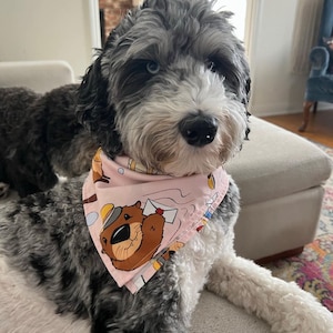 Crescent City Otter Bandana - Officially licensed SJM Merch, Crescent City Merch, Messenger Otter, dog bandana,  cute hair scarf, bookish