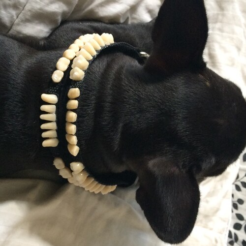 Navy White Dog Clothes Marine Look Dog Tops XS4XL Pet Boat Etsy