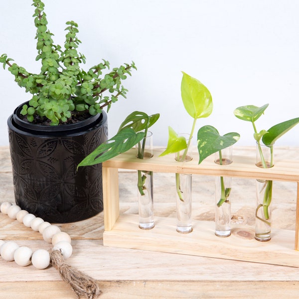 Plant Propagation Station | Wooden plant cutting holder, test tubes for plants